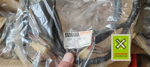 IMG_20230822_170111